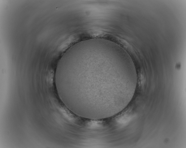 X0000092050664200709191122