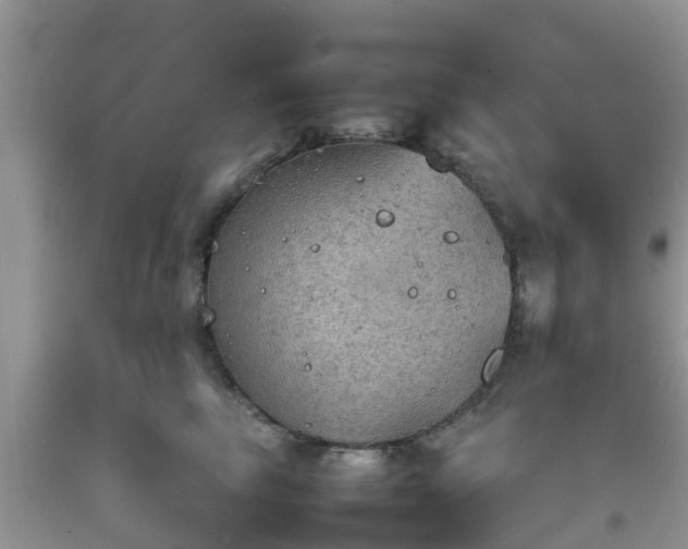 X0000092050665200709191122