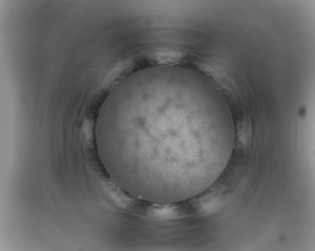 X0000092050667200709191122