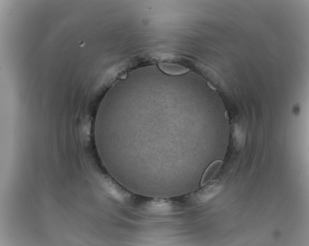 X0000092050668200709191122