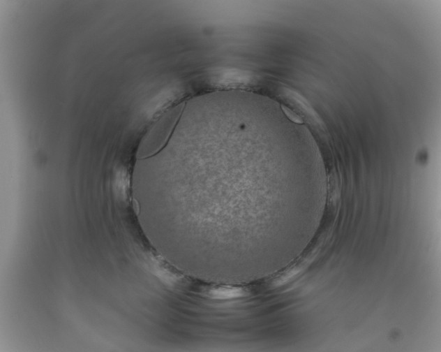 X0000092050669200709191122