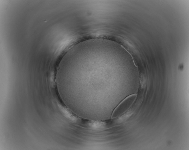 X0000092050670200709191122