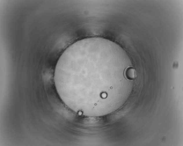 X0000092050672200709191122