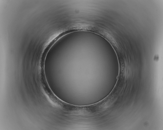 X0000092050674200709191121