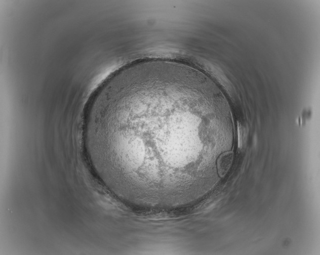 X0000092050675200709191121