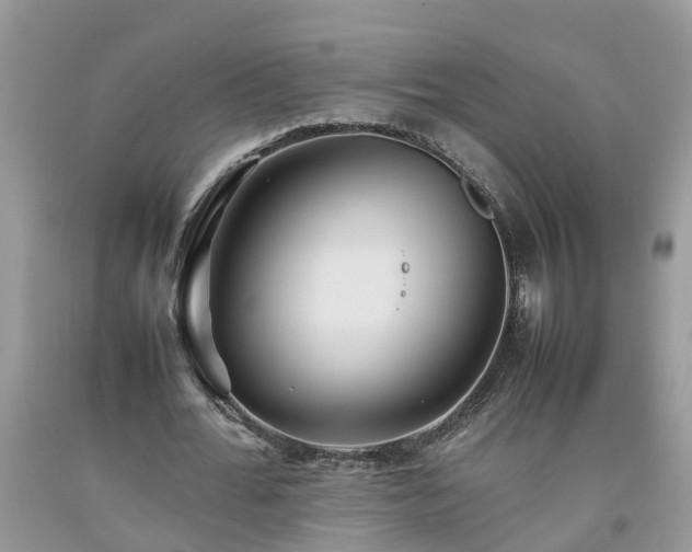 X0000092050676200709191121