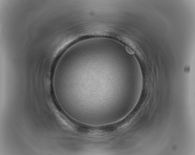 X0000092050677200709191121