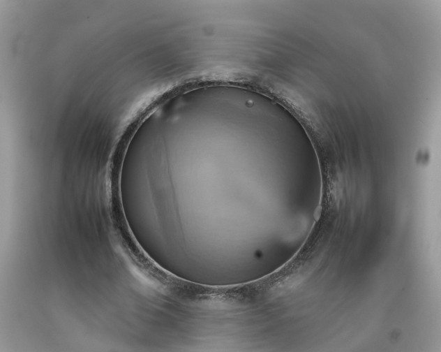 X0000092050678200709191121