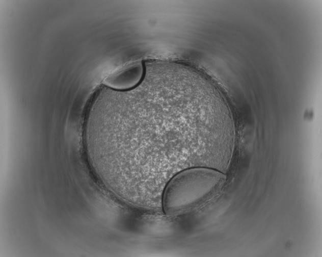 X0000092050679200709191121