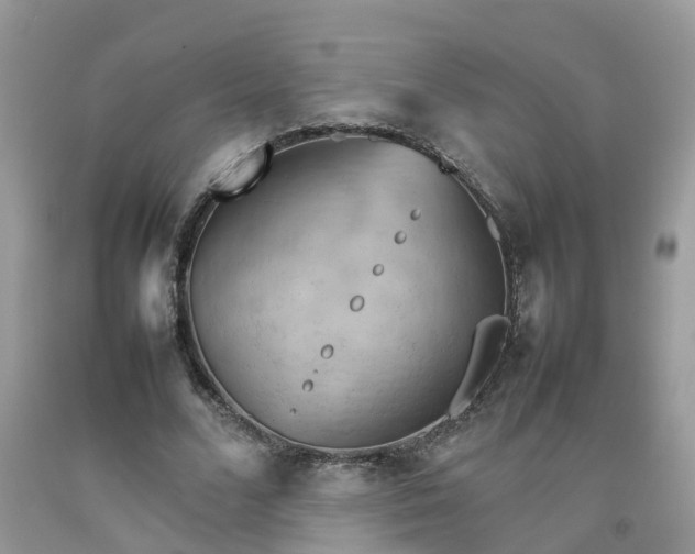 X0000092050680200709191121