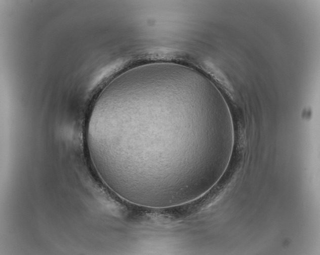 X0000092050681200709191121