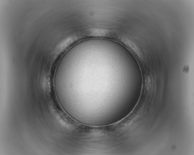 X0000092050682200709191121