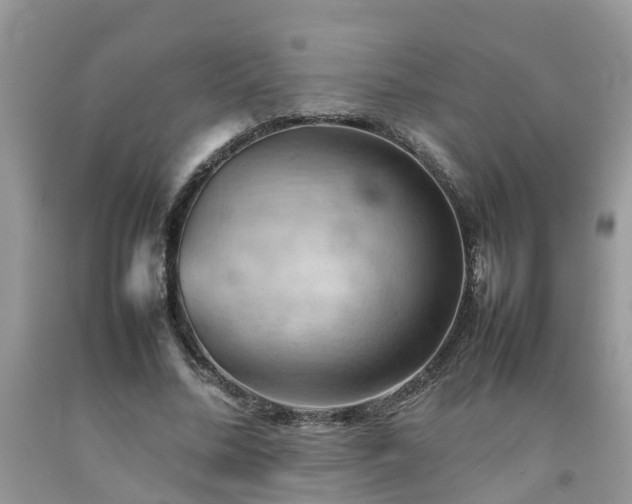 X0000092050684200709191121