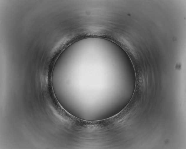 X0000092050686200709191121