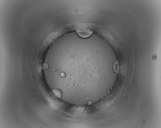 X0000092050687200709191121