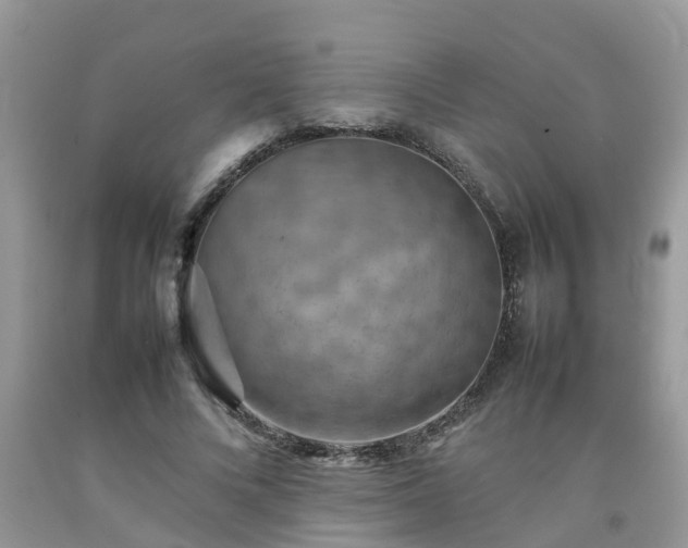 X0000092050688200709191121