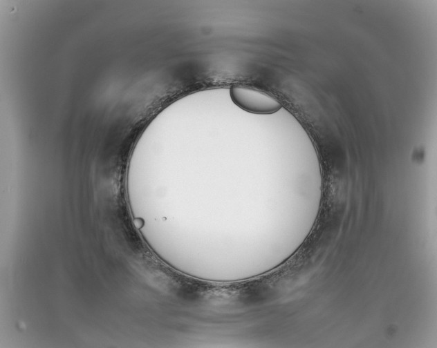 X0000092050691200709191121