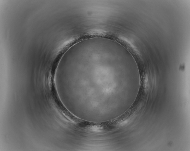 X0000092050692200709191121