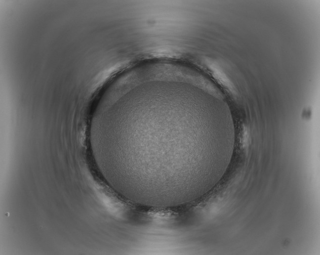 X0000092050693200709191121