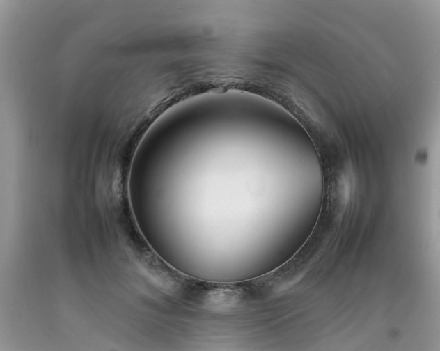 X0000092050700200709191121