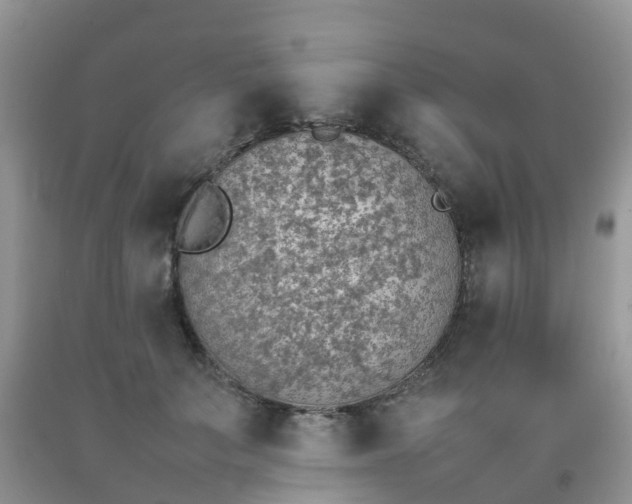 X0000092050703200709191121