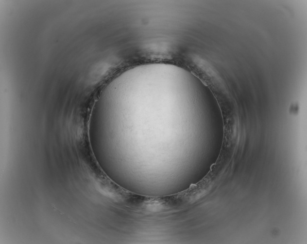 X0000092050704200709191121