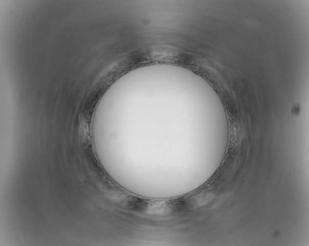 X0000092050705200709191121