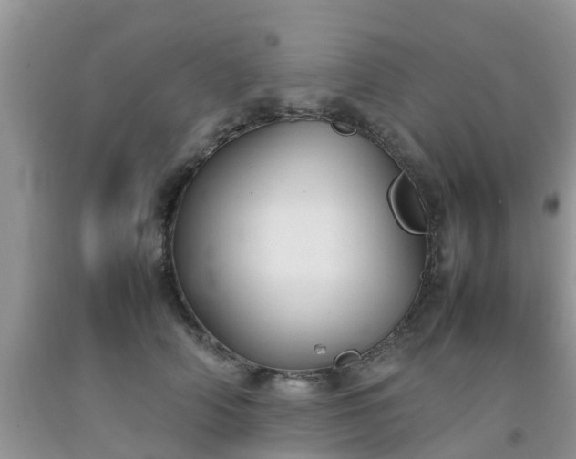 X0000092050706200709191121