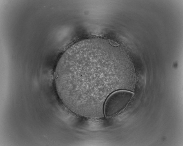 X0000092050707200709191121