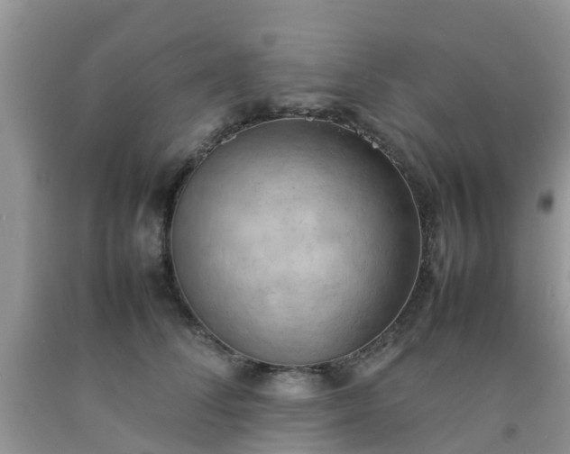 X0000092050708200709191121