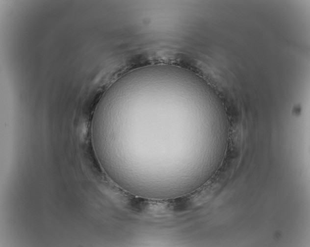 X0000092050709200709191121