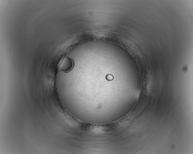 X0000092050710200709191121