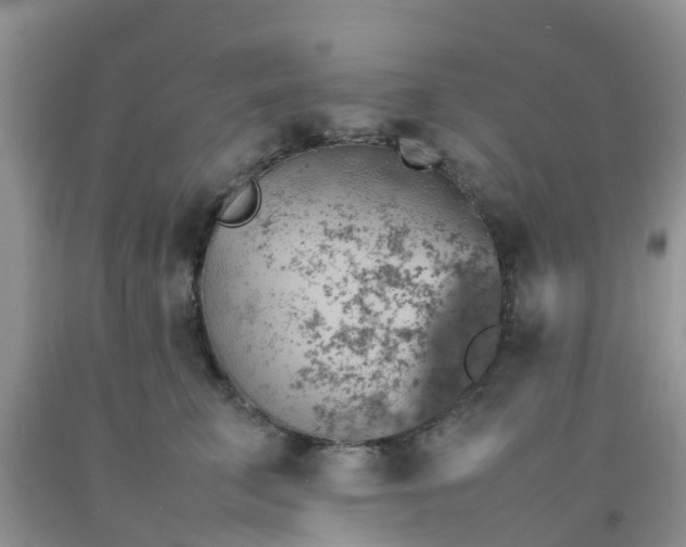 X0000092050711200709191121