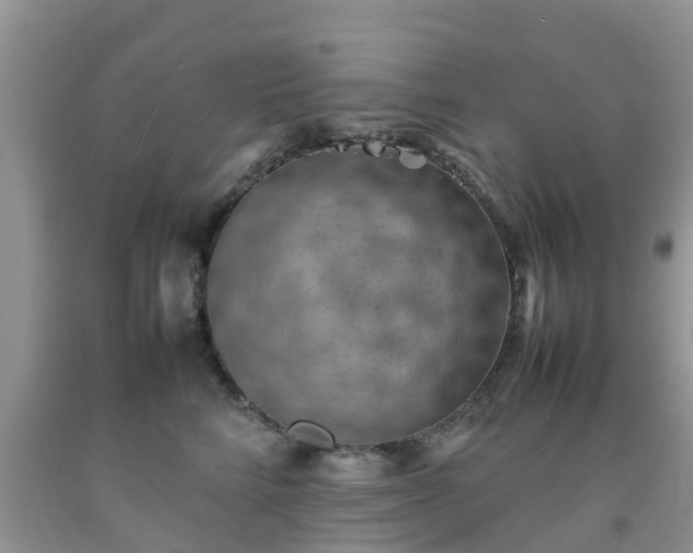 X0000092050712200709191121