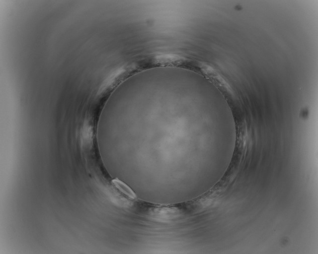 X0000092050716200709191121