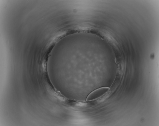 X0000092050718200709191121