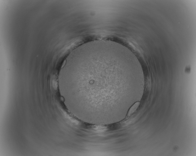 X0000092050719200709191121