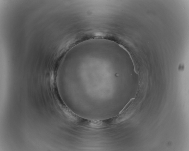 X0000092050720200709191121