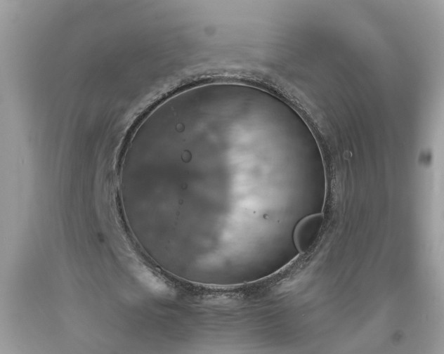 X0000092050721200709191120