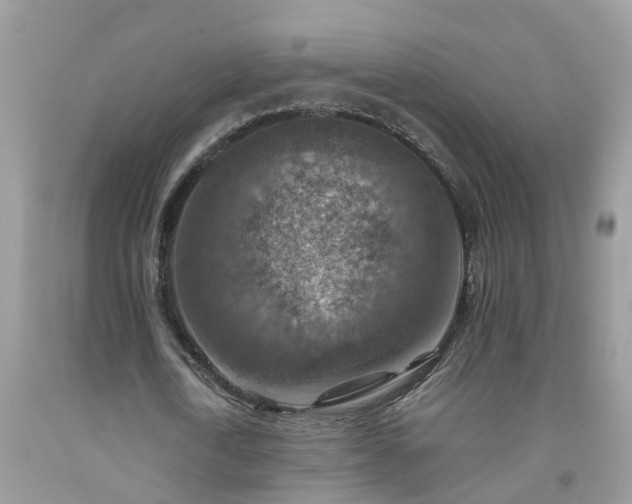 X0000092050722200709191120