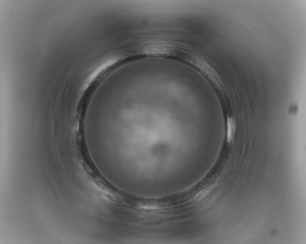 X0000092050723200709191120