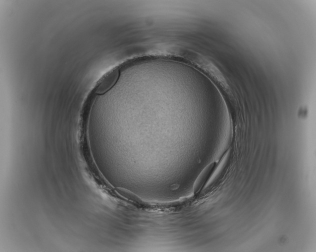 X0000092050724200709191120