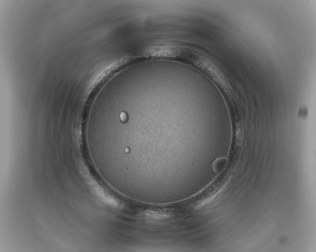 X0000092050725200709191120