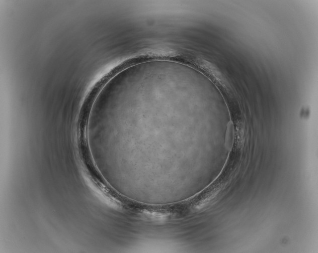 X0000092050726200709191120