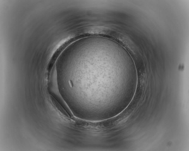 X0000092050727200709191120