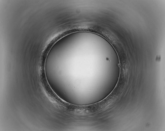 X0000092050728200709191120