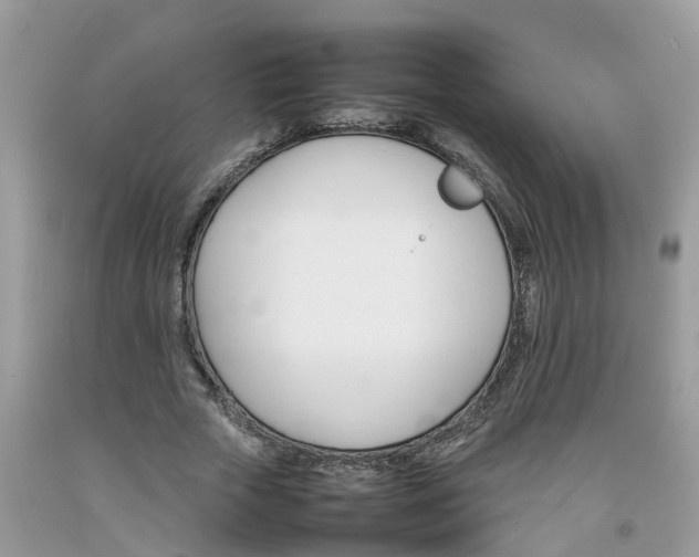 X0000092050729200709191120