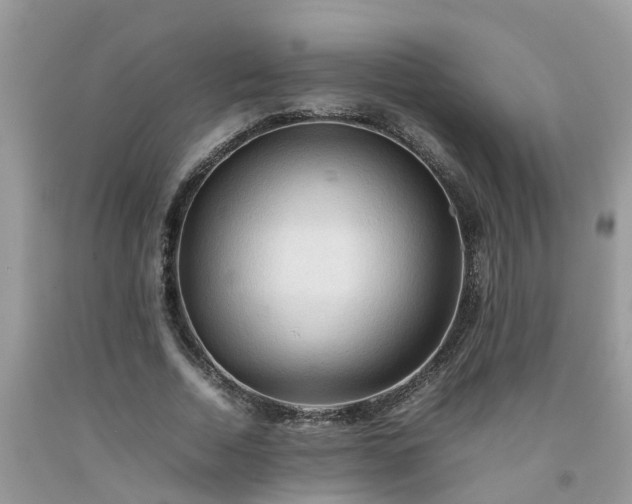 X0000092050730200709191120