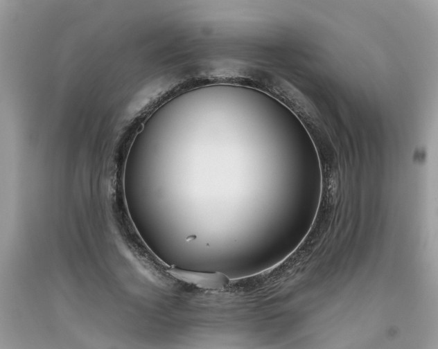 X0000092050732200709191120