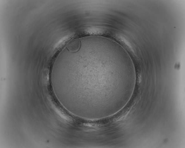 X0000092050733200709191120